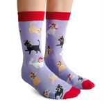 Fun Cute Cats with hats socks